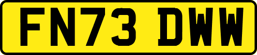 FN73DWW