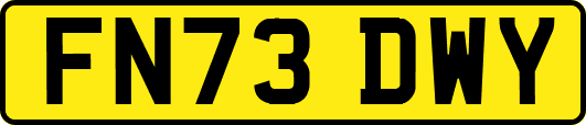 FN73DWY