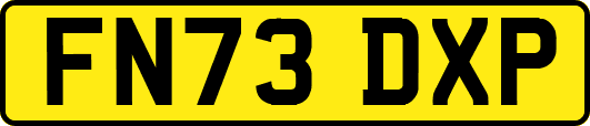 FN73DXP
