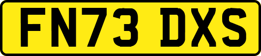 FN73DXS