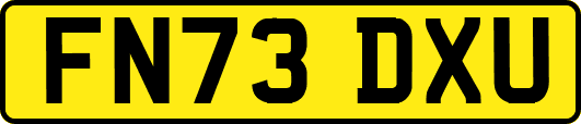 FN73DXU