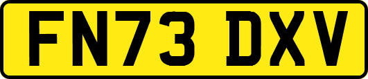 FN73DXV