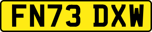 FN73DXW