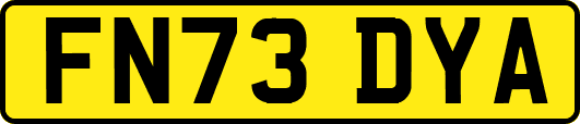 FN73DYA
