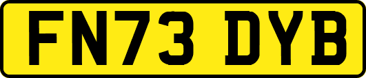 FN73DYB