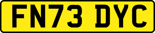 FN73DYC