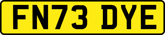 FN73DYE