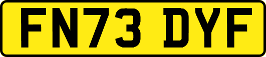 FN73DYF
