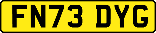 FN73DYG