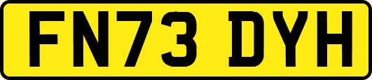 FN73DYH