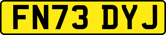 FN73DYJ