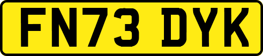 FN73DYK