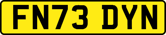 FN73DYN