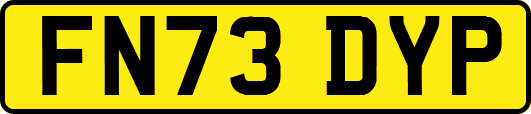 FN73DYP