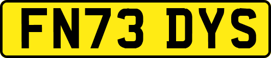FN73DYS