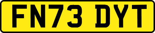 FN73DYT