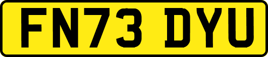 FN73DYU