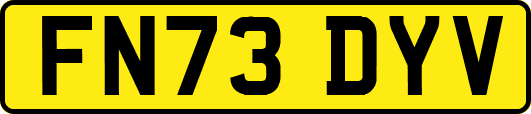 FN73DYV