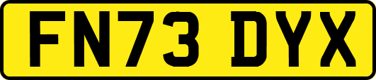 FN73DYX