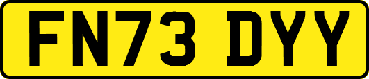 FN73DYY