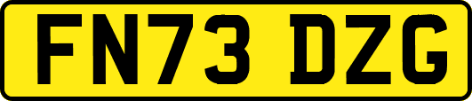 FN73DZG