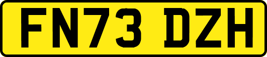 FN73DZH