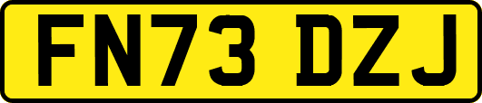 FN73DZJ
