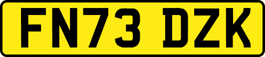FN73DZK