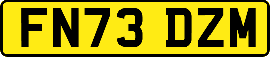 FN73DZM