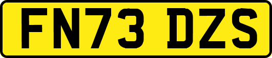 FN73DZS