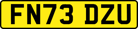 FN73DZU