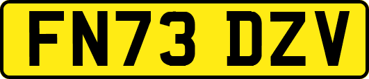 FN73DZV