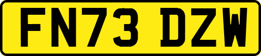 FN73DZW