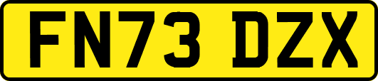 FN73DZX