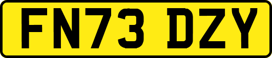 FN73DZY