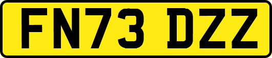FN73DZZ