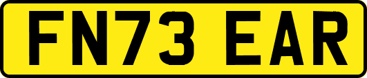 FN73EAR