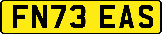 FN73EAS