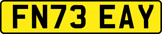 FN73EAY
