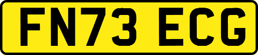 FN73ECG