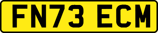 FN73ECM