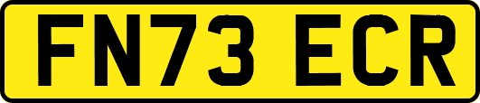 FN73ECR