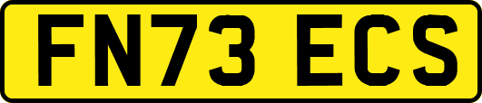 FN73ECS