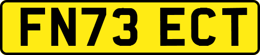 FN73ECT