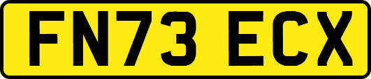 FN73ECX