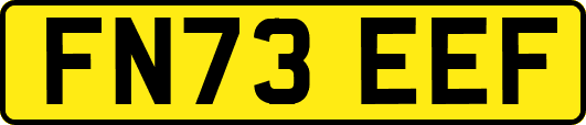 FN73EEF