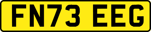 FN73EEG