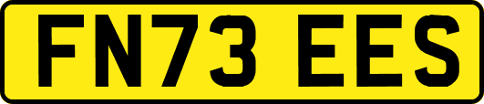 FN73EES