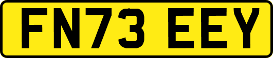 FN73EEY