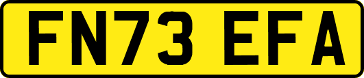 FN73EFA